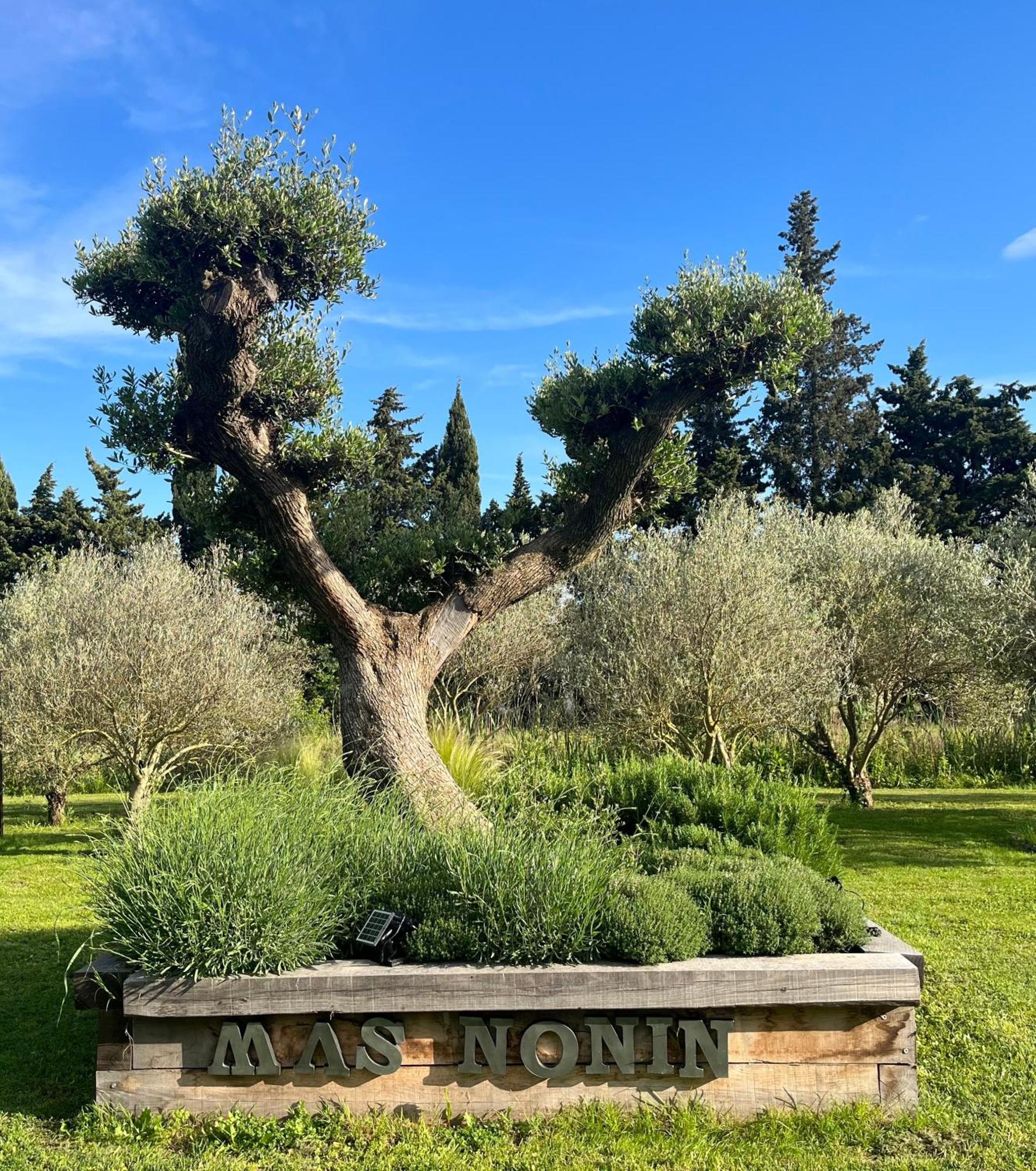 Mas De Nonin St Remy De Provence Hotell Noves Exteriör bild